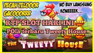 The Tweety House Slot Hari Ini Live Streaming Youtube